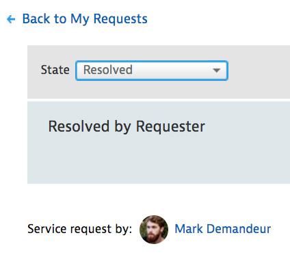 service portal requests example image